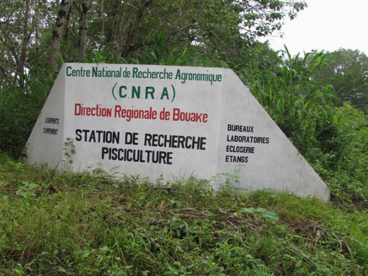 Préavis sur les perspectives agricole et alimentaire au sahel et en Afrique de l`Ouest / Productions agropastorales en baisse au Sahel dans un contexte de prix élevés : risque accru d’insécurité alimentaire